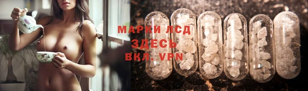 дживик Баксан