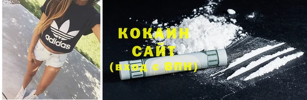 дживик Баксан