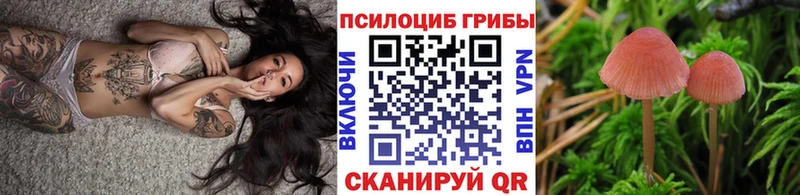 ссылка на мегу ONION  Лениногорск  Галлюциногенные грибы Psilocybine cubensis 